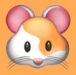 WWW,av562·COM网站APPAPP应用
