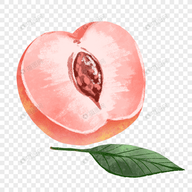 WWW,798av·COM网站APP