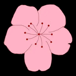 WWW,av840·COM网站APPAPP应用